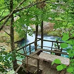 & Trips Shkodër