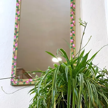 Shkodra Guest House & Trips