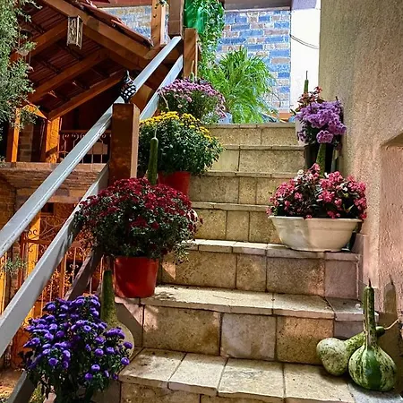 Shkodra Guest House & Trips