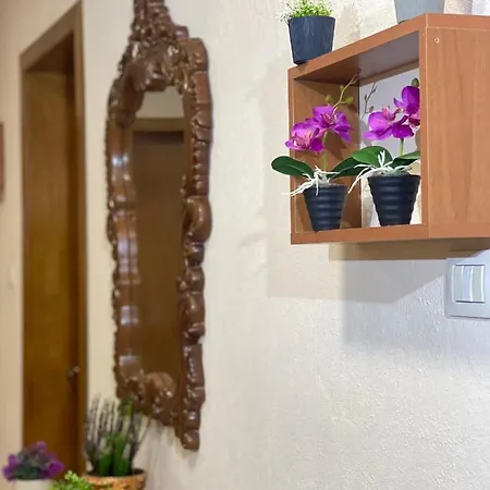 Shkodra Guest House & Trips