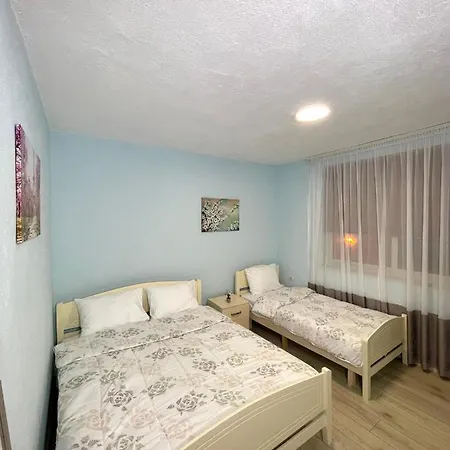Pensionat Guest House&trips 3*