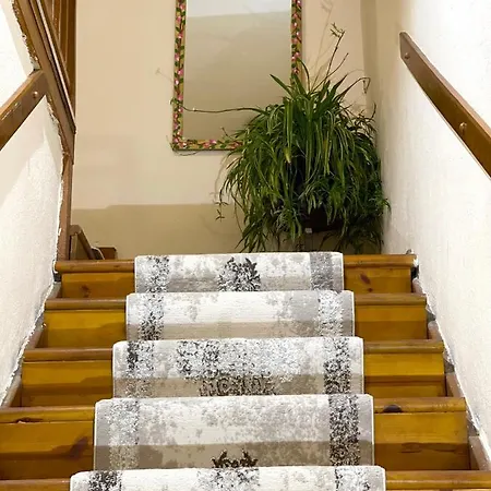 Shkodra Guest House & Trips Shkoder