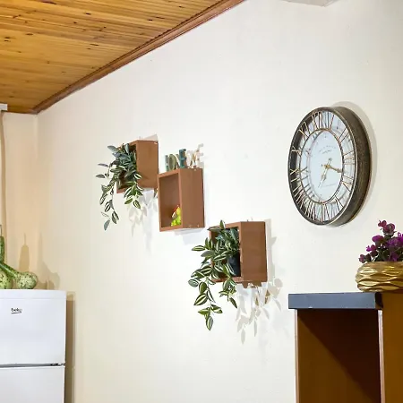 Guest house Shkodra Guest House & Trips 3*