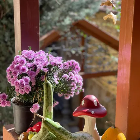 Gasthof Shkodra Guest House & Trips Shkodra