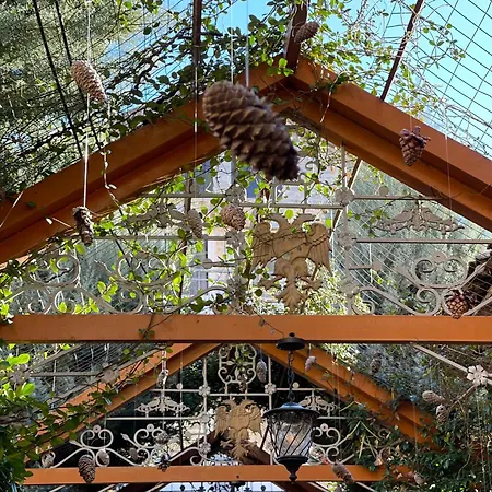 Shkodra Guest House & Trips 3*