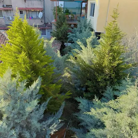 Shkodra Guest House & Trips