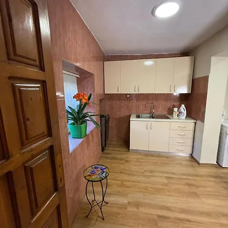 Guest House&trips Pensionat Shkodër
