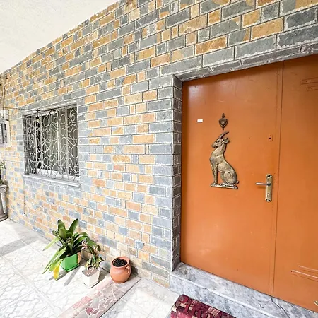 Guest house Shkodra Guest House & Trips 3*