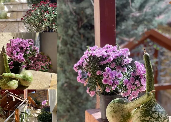 & Trips 招待所 3*