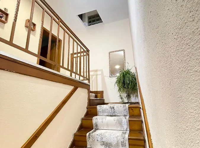 & Trips 招待所 Shkodër