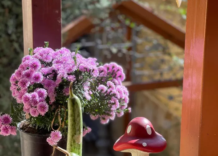 招待所 & Trips Shkodër