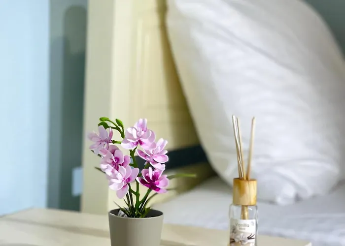 招待所 & Trips 3*