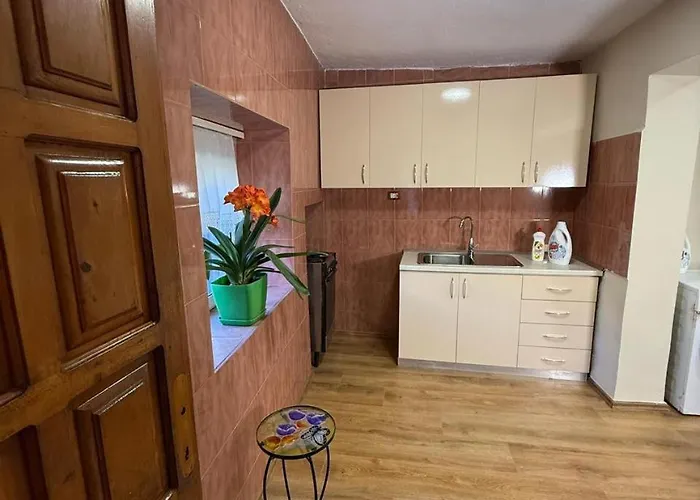 & Trips 招待所 Shkodër