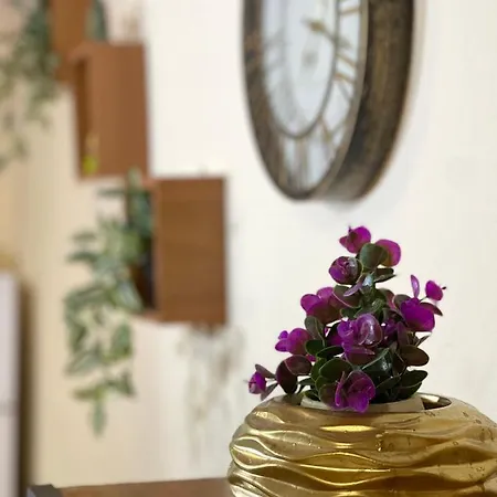 Shkodra Guest House & Trips 3* Shkoder