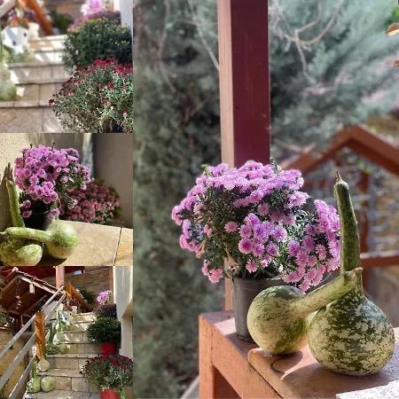 & Trips Casa de hóspedes 3*