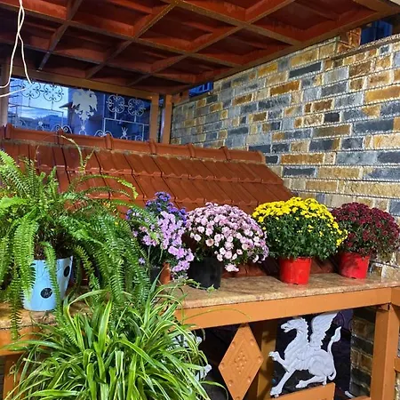 Guest house Shkodra Guest House & Trips