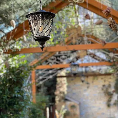 & Trips Гостевой дом Шкодер