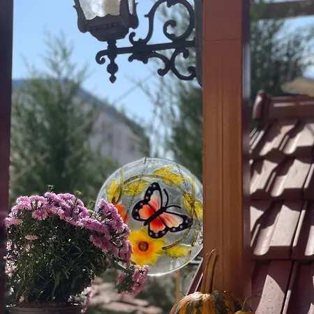 & Trips Casa de hóspedes