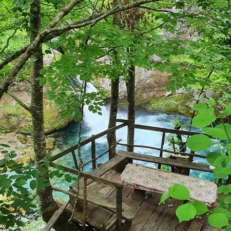 Shkodra Guest House & Trips Shkoder