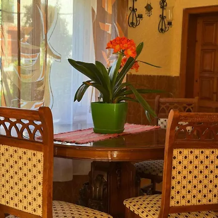 Shkodra Guest House & Trips Guest house 3*