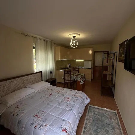 Guest house Shkodra Guest House & Trips