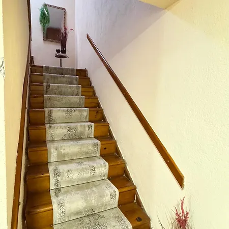 Гостевой дом & Trips